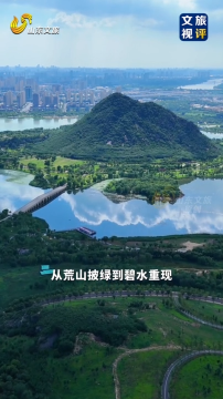 全国生态日 ｜千里山河染新绿 见证山东绿色蜕变