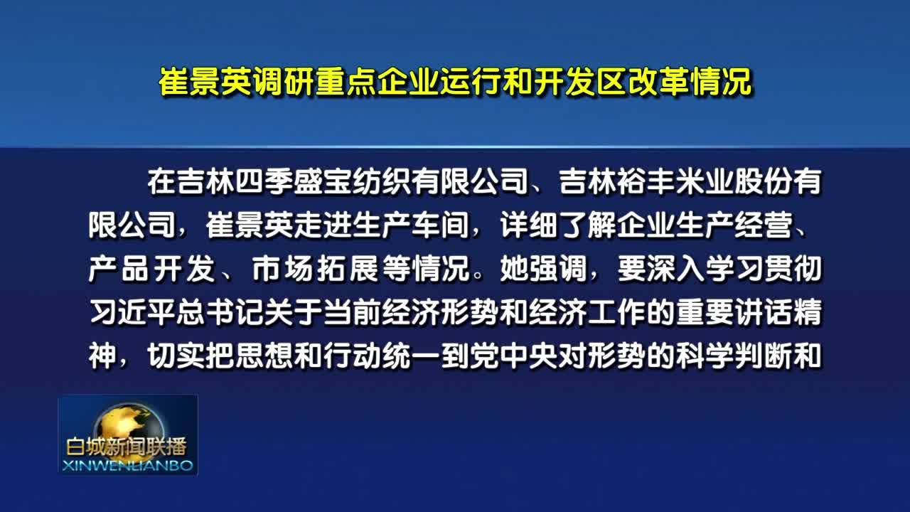 崔景英调研重点企业运行和开发区改革情况