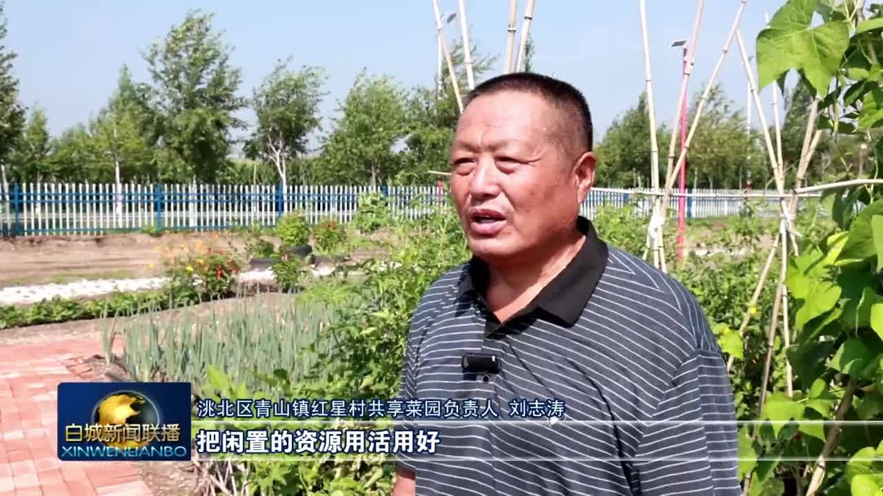 洮北：共享菜园为乡村振兴注入新活力