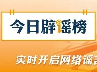 脱发是因为雄激素过多？