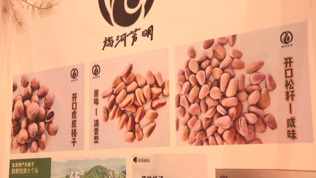 梅河新区松子产业高质量发展会议暨第二届松子展览会紧张筹备中