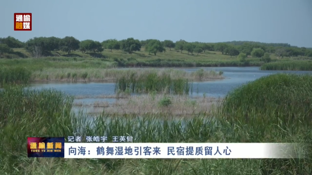 向海：鹤舞湿地引客来 民宿提质留人心