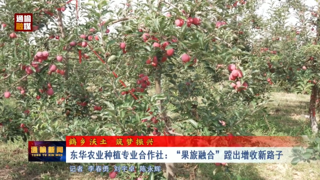 【鹤乡沃土 筑梦振兴】东华农业种植专业合作社：&ldquo;果旅融合&rdquo;蹚出增收新路子