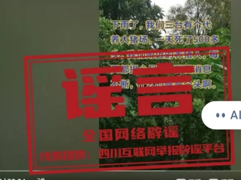 今日辟谣