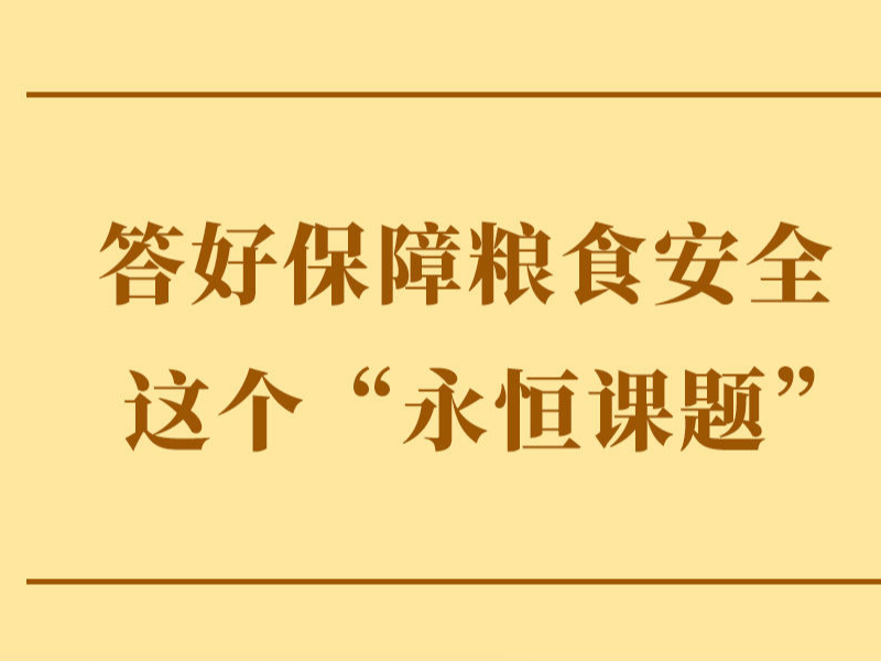 学习手记｜答好保障粮食安全这个&ldquo;永恒课题&rdquo;
