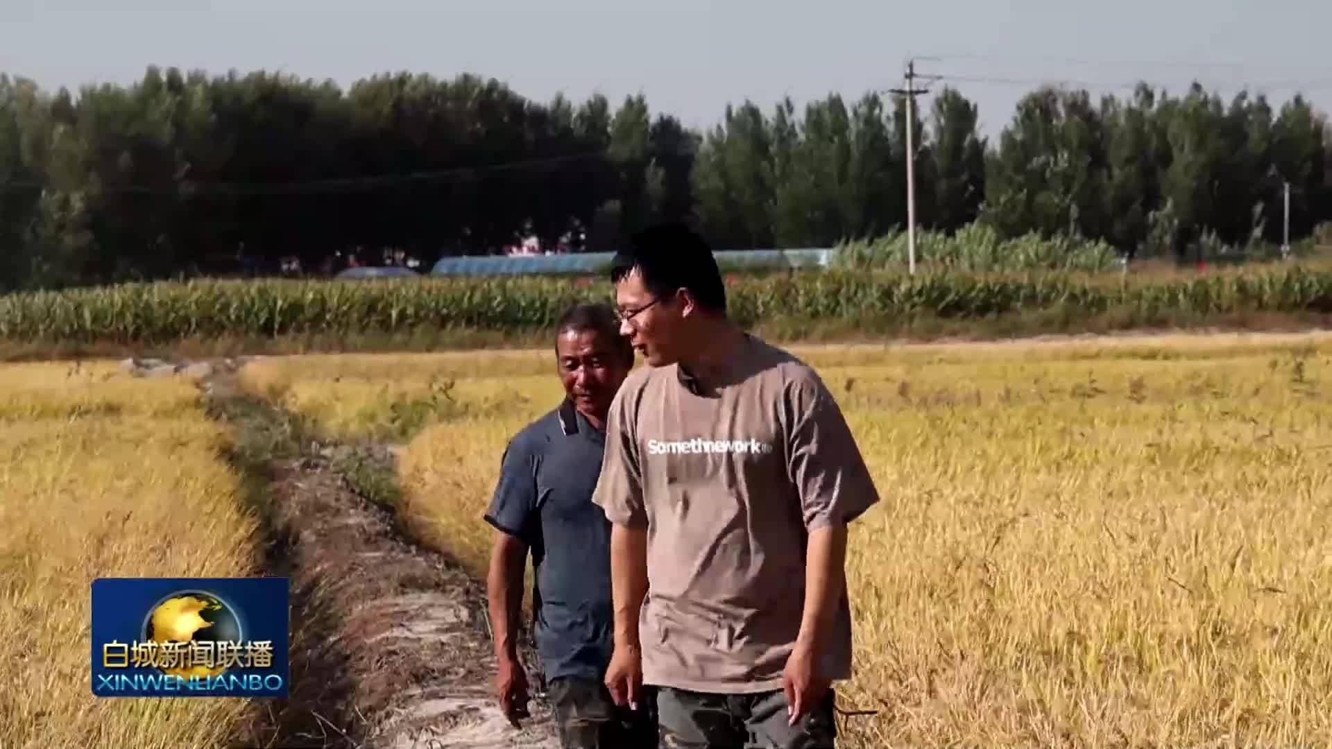 我们的节日&middot;国庆丨白城：科技赋能沃土 金秋静待丰收