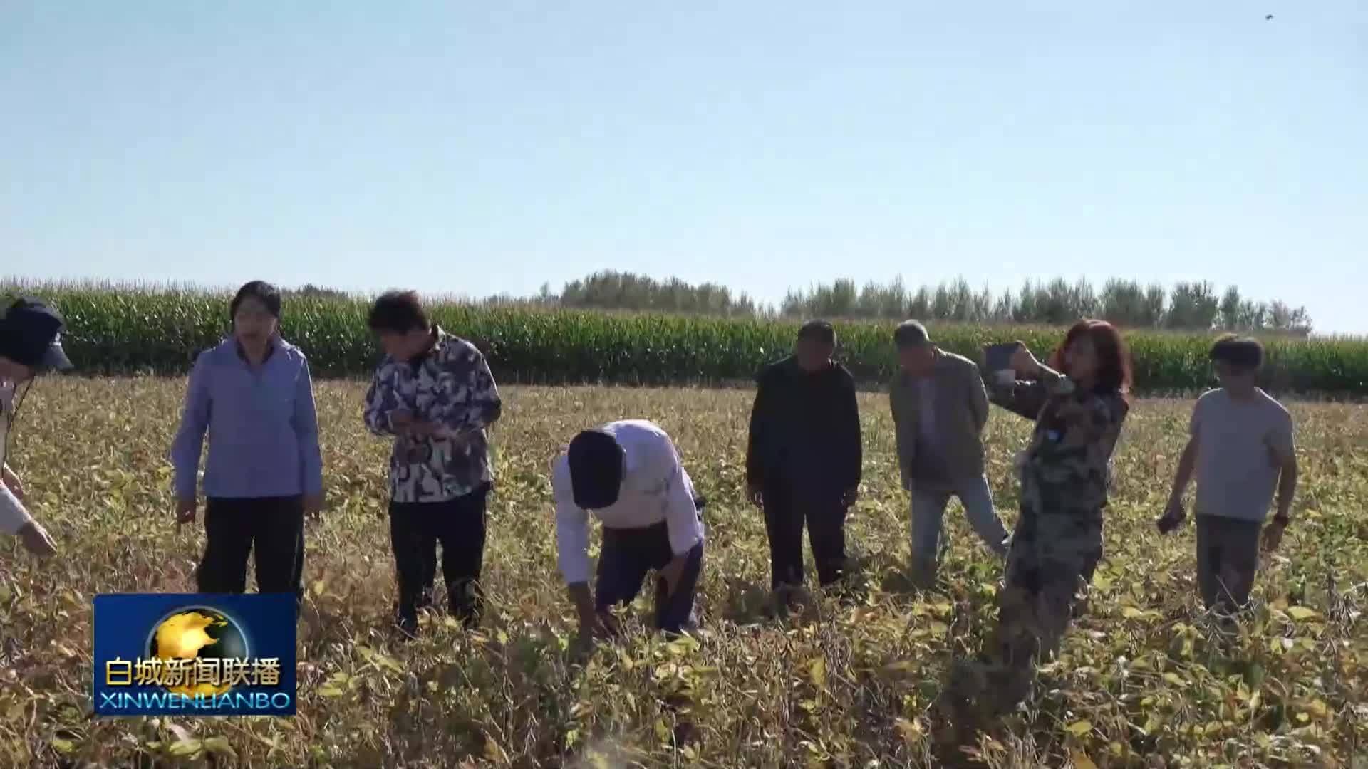 金色白城丨通榆：科技赋能提产能 特色产业助增收