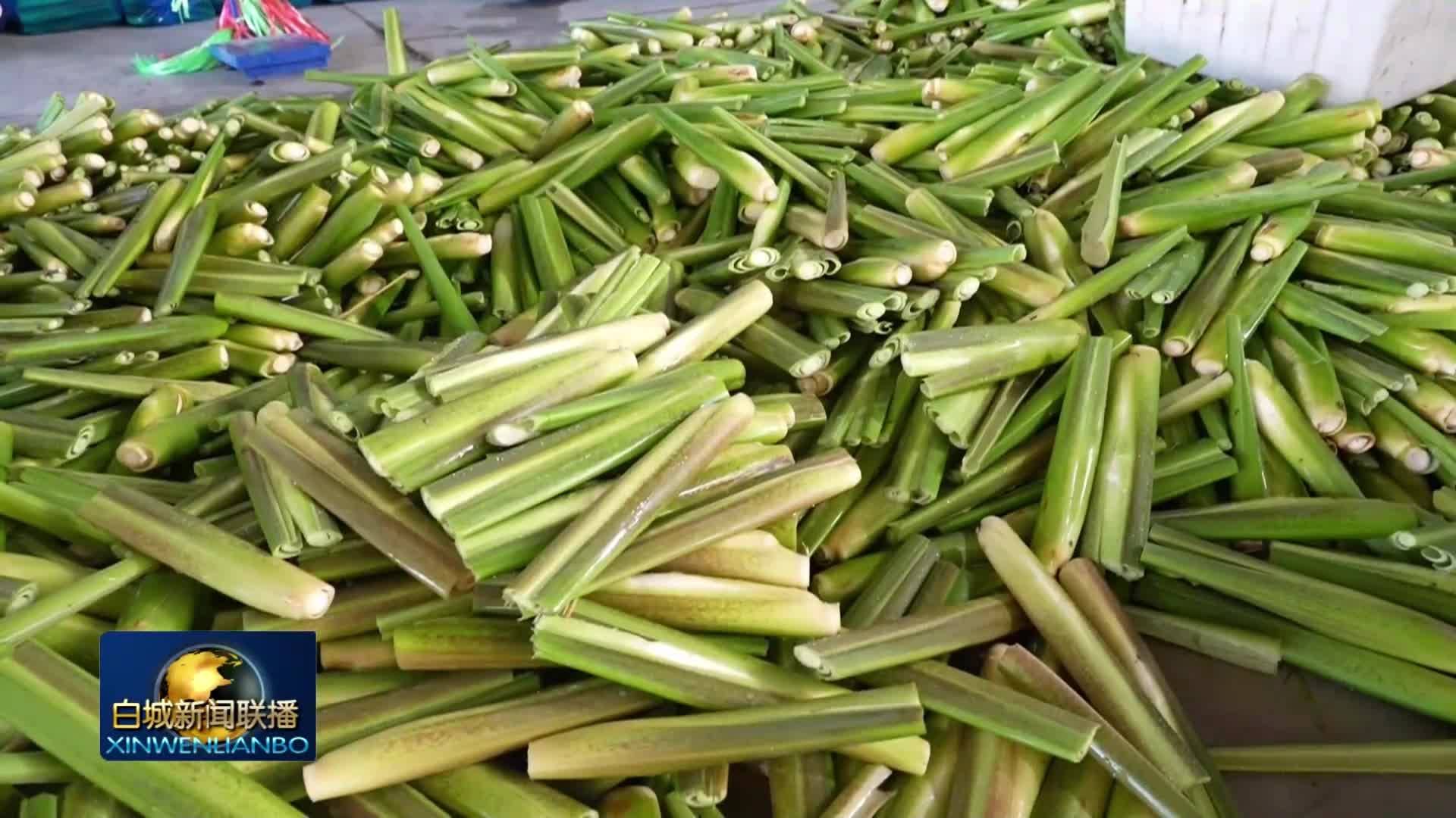 金色白城丨镇赉：立足禀赋兴特色农业 多点开花促乡村振兴
