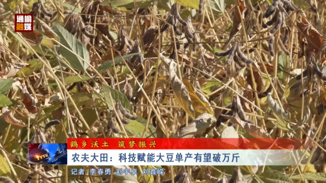 【鹤乡沃土 筑梦振兴】农夫大田：科技赋能大豆单产有望破万斤