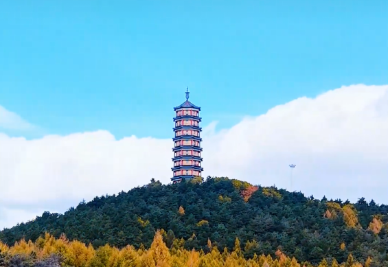 不必远游！这个秋天，来梅河奔赴一场山林之约