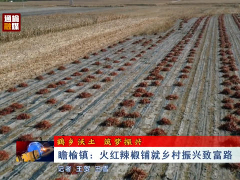 【鹤乡沃土 筑梦振兴】瞻榆镇：火红辣椒铺就乡村振兴致富路