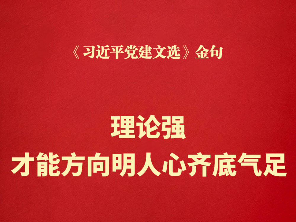 理论强，才能方向明人心齐底气足