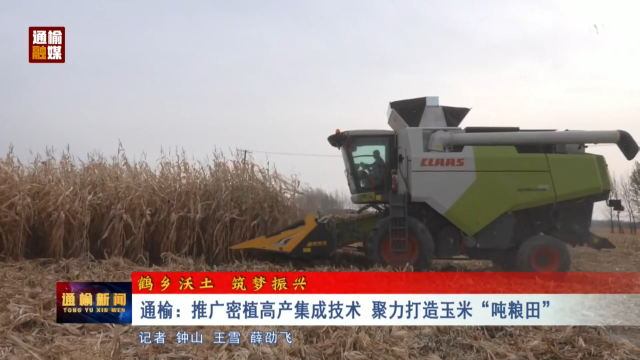 【鹤乡沃土 筑梦振兴】通榆：推广密植高产集成技术 聚力打造玉米&ldquo;吨粮田&rdquo;