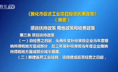 《敦化市促进工业项目投资优惠政策》（摘要）