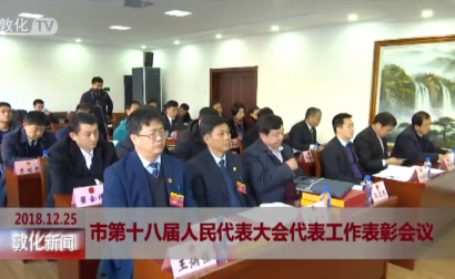 市第十八届人民代表大会代表工作表彰会议