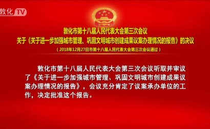 关于《关于进一步加强城市管理、巩固文明城市创建成果议案办理情况的报告》的决议