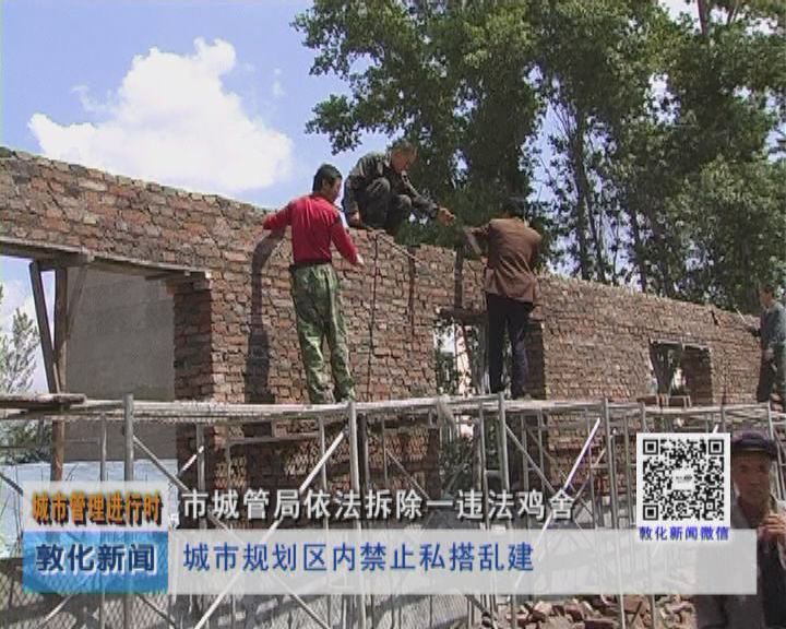 敦化市城管局依法拆除一违法鸡舍（6月19日）