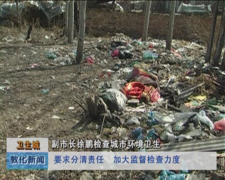 卫生城副市长徐鹏检查城市环境卫生（5月9日）