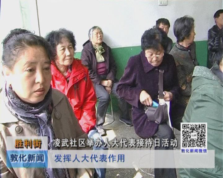胜利街凌武社区举办人大代表接待日活动（6月18日）