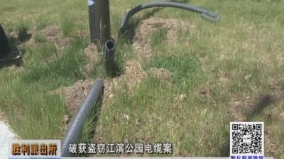 胜利派出所破获盗窃江滨公园电缆案（6月9日）