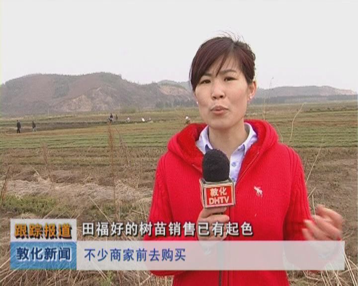 田福好的树苗销售已有起色（5月11日）