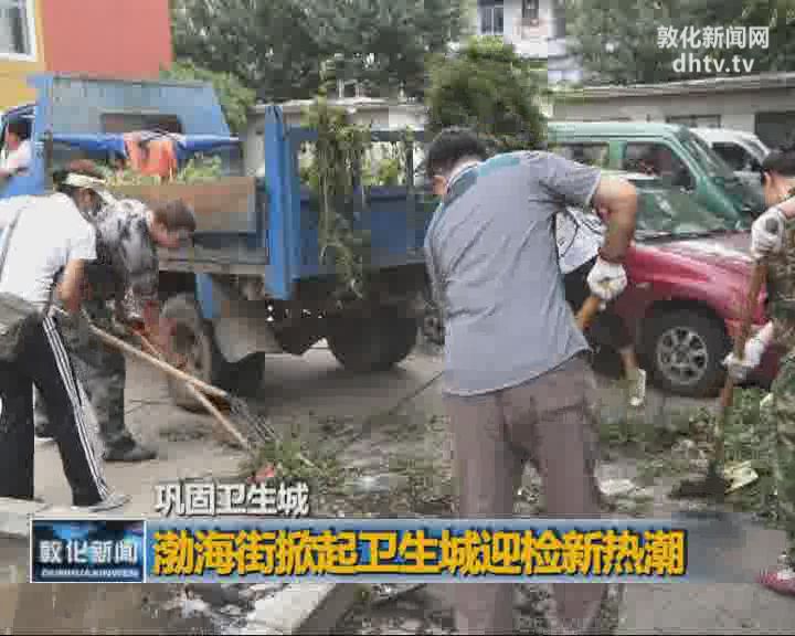 渤海街掀起卫生城迎检新热潮
