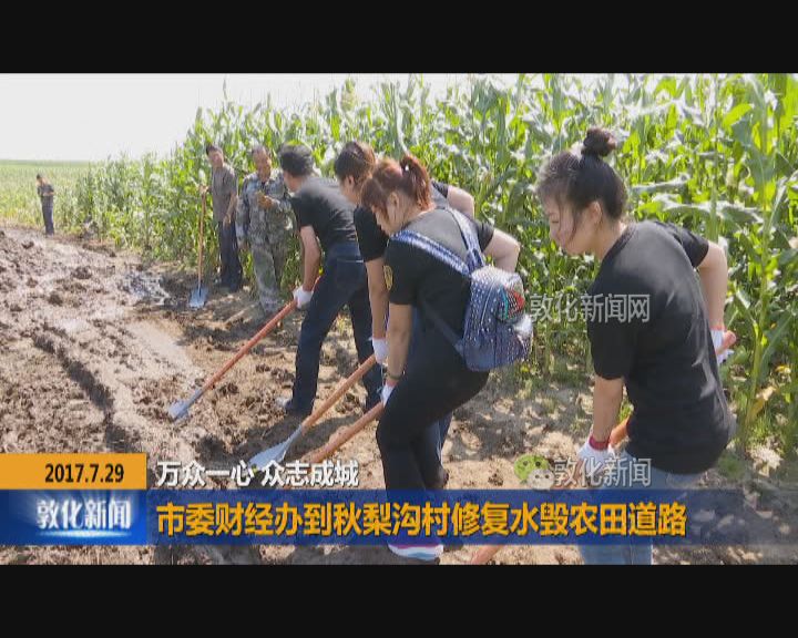 市委财经办到秋梨沟村修复水毁农田道路