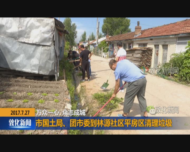 市国土局、团市委到林源社区平房区清理垃圾