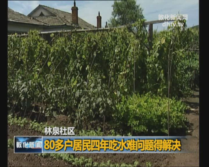 林泉社区80多户居民四年吃水难问题得解决