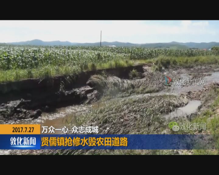 贤儒镇抢修水毁农田道路