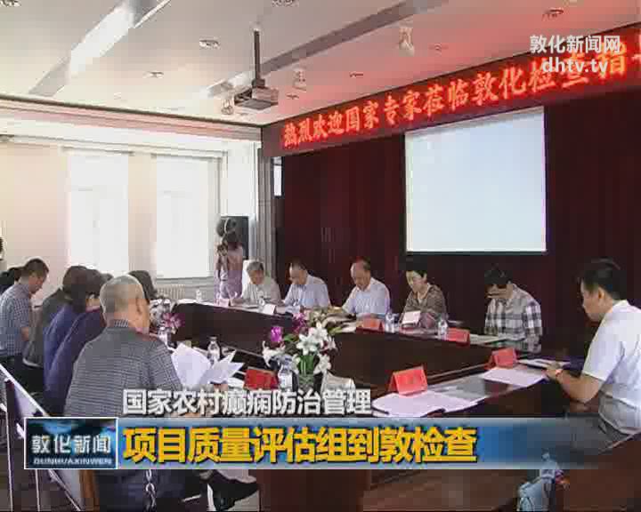 国家农村癫痫防治管理项目质量评估组到敦检查