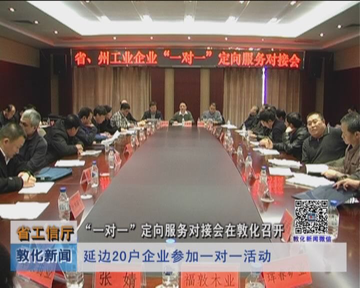 省工信厅“一对一”定向服务对接会在敦化市召开（2月25日）