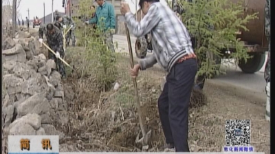 市审计局为沙河沿镇全发村植树（4月23日）