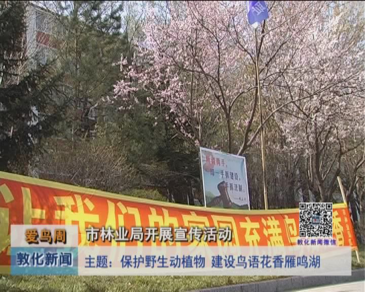 敦化市林业局开展宣传活动（4月28日）
