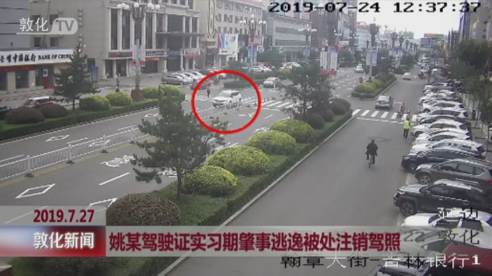 姚某驾驶证实习期肇事逃逸被处注销驾照