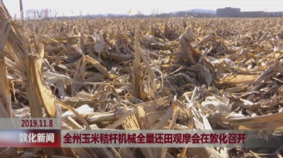全州玉米秸秆机械全量还田观摩会在敦化召开
