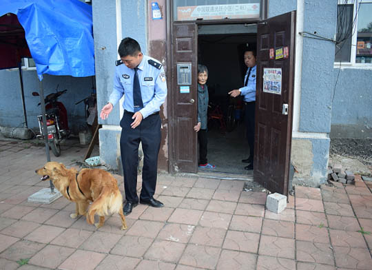 利益无小事   民警帮寻爱犬被赞