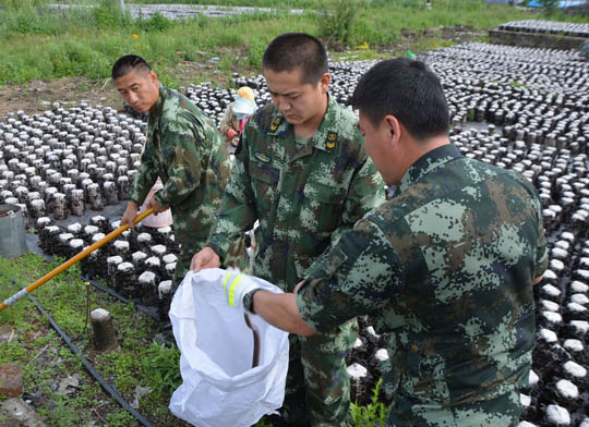 消防战士抓蛇解民忧