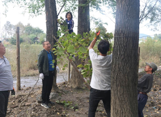 “一户一策”扶贫菜单