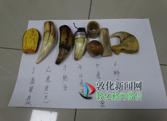 收购野生动物被抓