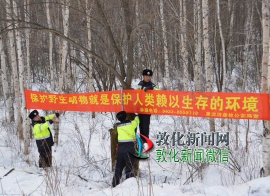 使命动保扬警威