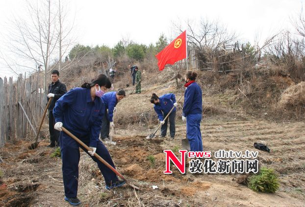 敦化林业有限公司扎实推进春季造林工作