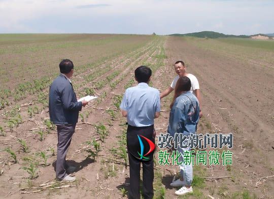 玉米保护性耕作检查