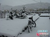 雪乡敦化