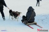 北山滑雪场——狗拉爬犁