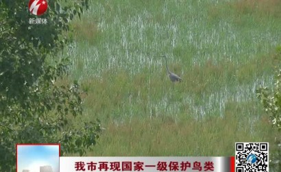 我市再现国家一级保护鸟类