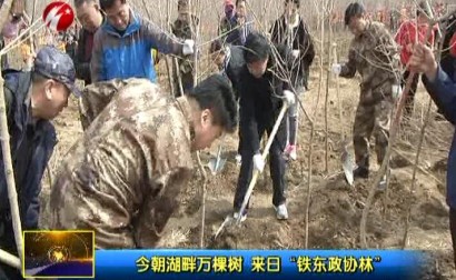 今朝湖畔万棵树 来日“铁东政协林”