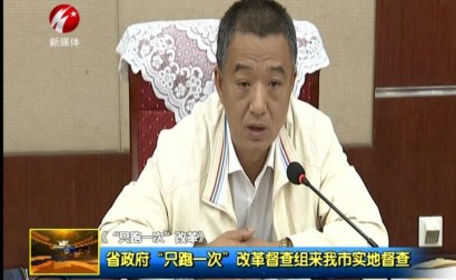 省政府“只跑一次”改革督查组来我市实地督查