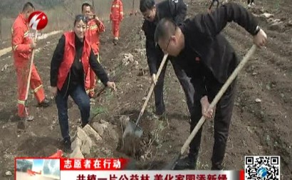 共植一片公益林 美化家园添新绿