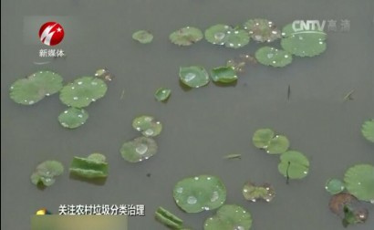 辽宁盘锦：治理农村垃圾 发展民宿旅游